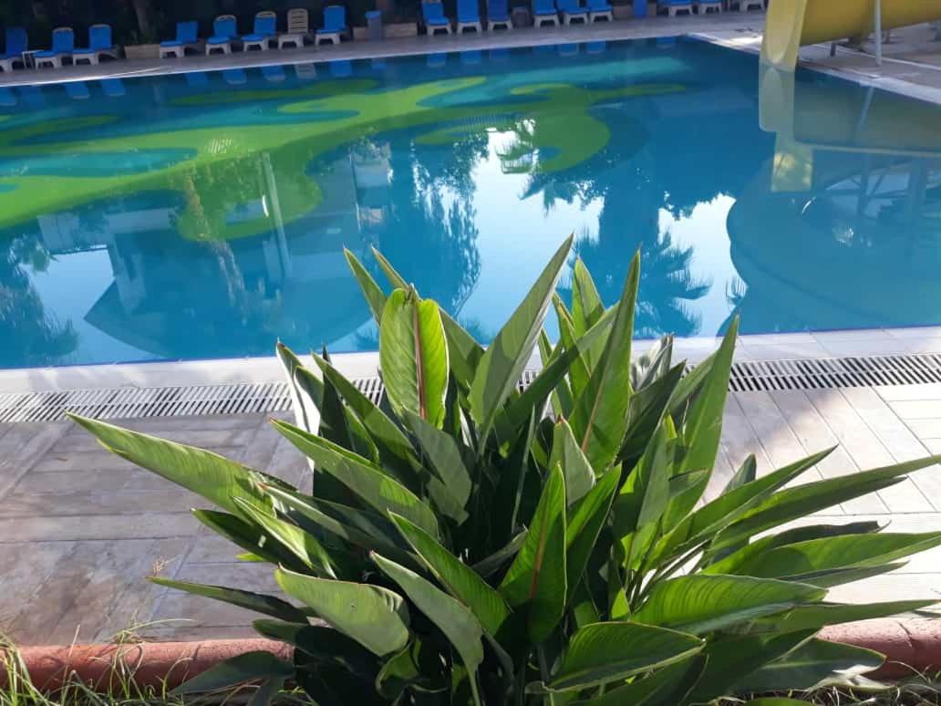 Otel Club Jovia Kemer Antalya